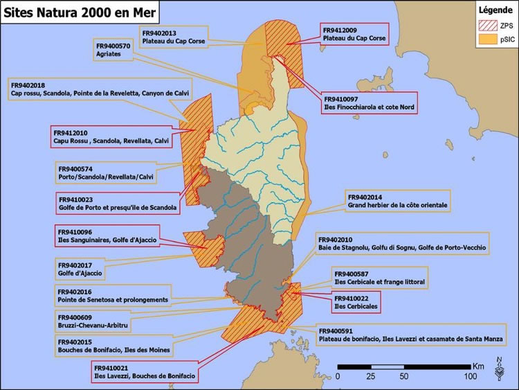 Slide36.jpg